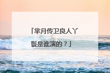 芈月传卫良人丫鬟是谁演的？