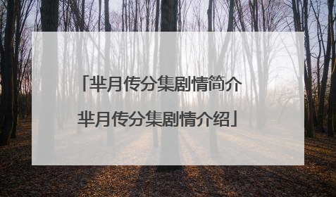 芈月传分集剧情简介 芈月传分集剧情介绍