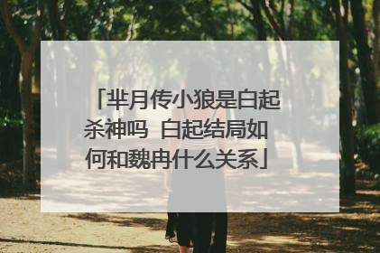 芈月传小狼是白起杀神吗 白起结局如何和魏冉什么关系