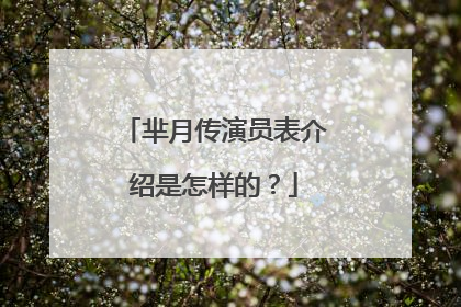 芈月传演员表介绍是怎样的?