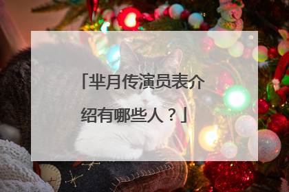 芈月传演员表介绍有哪些人?