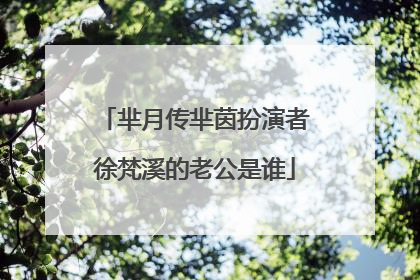 芈月传芈茵扮演者徐梵溪的老公是谁