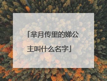 芈月传里的娣公主叫什么名字
