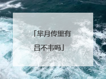 芈月传里有吕不韦吗