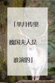 芈月传里魏国夫人是谁演的