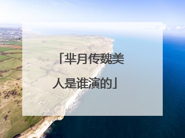 芈月传魏美人是谁演的