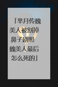 芈月传魏美人被割掉鼻子剧照 魏美人最后怎么死的