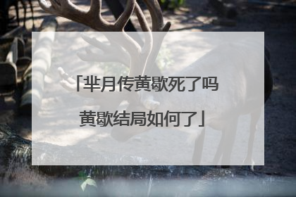 芈月传黄歇死了吗 黄歇结局如何了