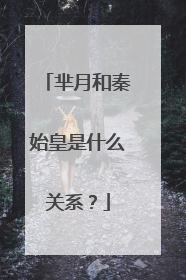 芈月和秦始皇是什么关系?