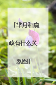 芈月和嬴政有什么关系图
