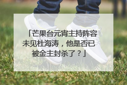 芒果台元宵主持阵容未见杜海涛，他是否已被金主封杀了？