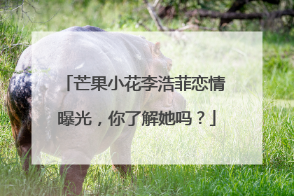 芒果小花李浩菲恋情曝光，你了解她吗？
