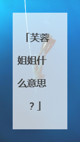 芙蓉姐姐什么意思?