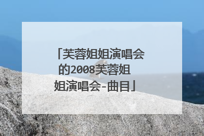 芙蓉姐姐演唱会的2008芙蓉姐姐演唱会-曲目