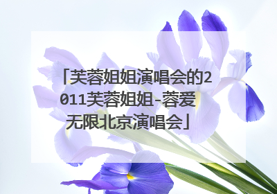 芙蓉姐姐演唱会的2011芙蓉姐姐-蓉爱无限北京演唱会