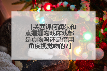 芙蓉锦何润东和袁姗姗吻戏床戏都是真吻吗还是借用角度视觉吻的?