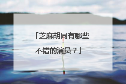 芝麻胡同有哪些不错的演员?