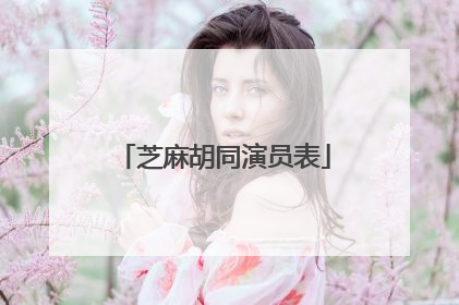 芝麻胡同演员表