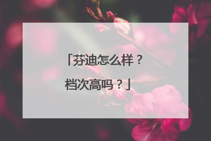 芬迪怎么样？档次高吗？