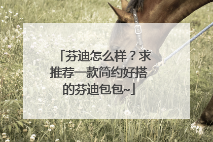 芬迪怎么样？求推荐一款简约好搭的芬迪包包~