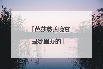 芭莎慈善晚宴是哪里办的
