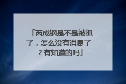 芮成钢是不是被抓了,怎么没有消息了?有知道的吗