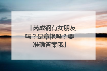 芮成钢有女朋友吗？是章艳吗？要准确答案哦