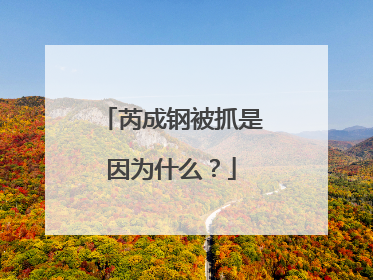 芮成钢被抓是因为什么？