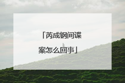 芮成钢间谍案怎么回事