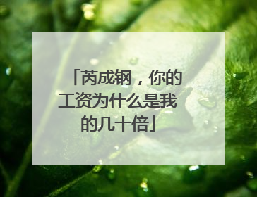 芮成钢，你的工资为什么是我的几十倍
