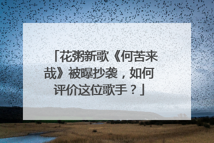 花粥新歌《何苦来哉》被曝抄袭,如何评价这位歌手?