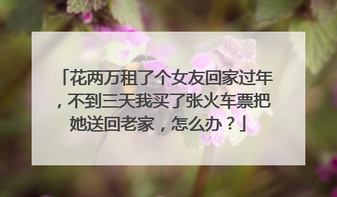 花两万租了个女友回家过年，不到三天我买了张火车票把她送回老家，怎么办？