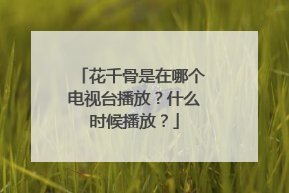 花千骨是在哪个电视台播放？什么时候播放？