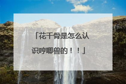 花千骨是怎么认识哼唧兽的！！