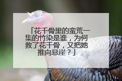 花千骨里的蛮荒一集的竹染是谁,为何救了花千骨,又把她推向悬崖?