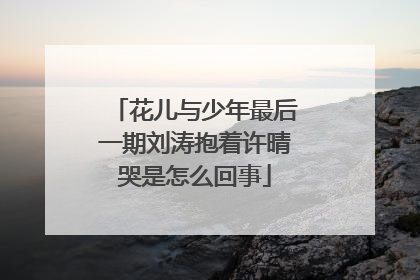 花儿与少年最后一期刘涛抱着许晴哭是怎么回事