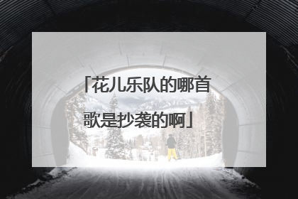 花儿乐队的哪首歌是抄袭的啊