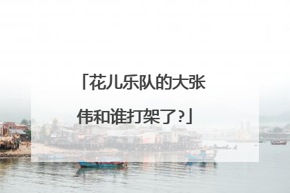 花儿乐队的大张伟和谁打架了?