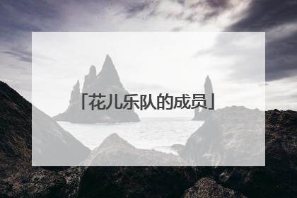 花儿乐队的成员