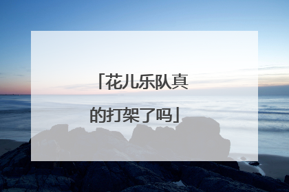 花儿乐队真的打架了吗