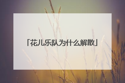 花儿乐队为什么解散
