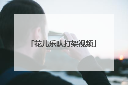 花儿乐队打架视频