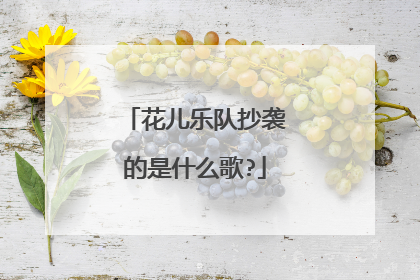 花儿乐队抄袭的是什么歌?