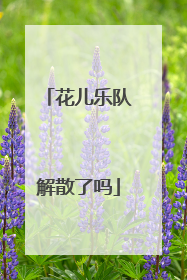 花儿乐队解散了吗