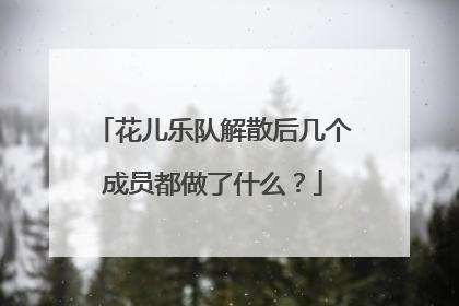 花儿乐队解散后几个成员都做了什么?
