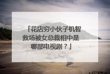 花店穷小伙子机智救场被女总裁相中是哪部电视剧？