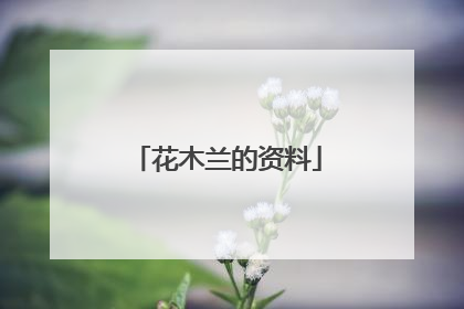花木兰的资料