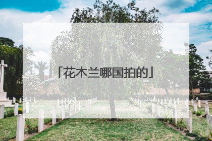 花木兰哪国拍的