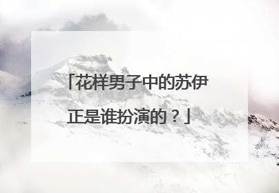 花样男子中的苏伊正是谁扮演的？