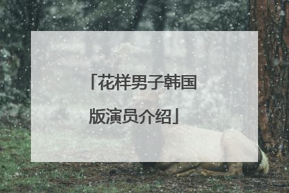 花样男子韩国版演员介绍